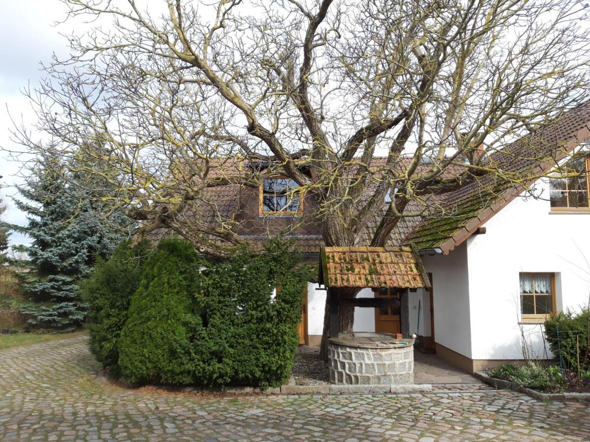 Ein Bett Im Kornfeld - Haus Morgensonne - Mit Innenpool Schonfeld  Екстериор снимка