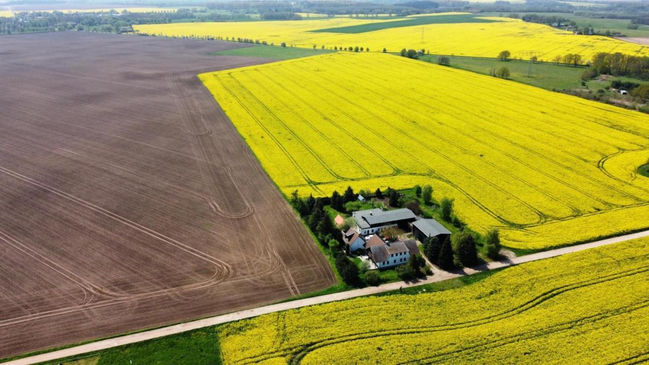 Ein Bett Im Kornfeld - Haus Morgensonne - Mit Innenpool Schonfeld  Екстериор снимка